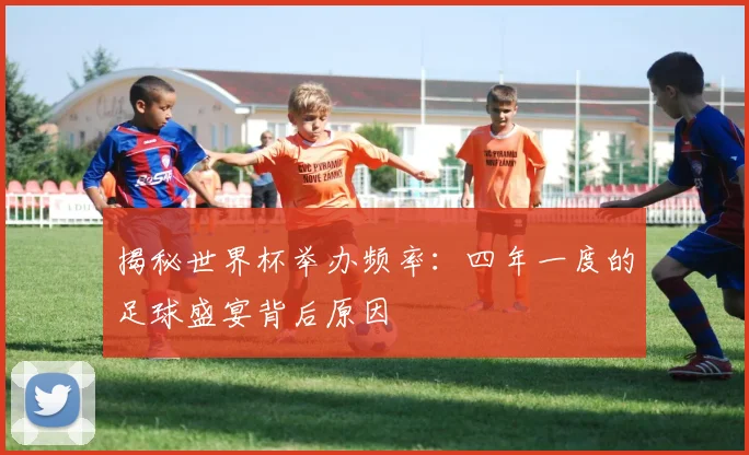 揭秘世界杯举办频率:四年一度的足球盛宴背后原因