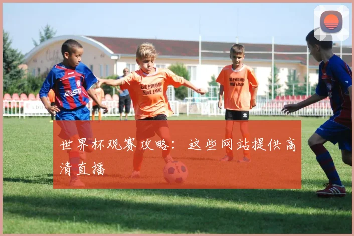 世界杯观赛攻略：这些网站提供高清直播