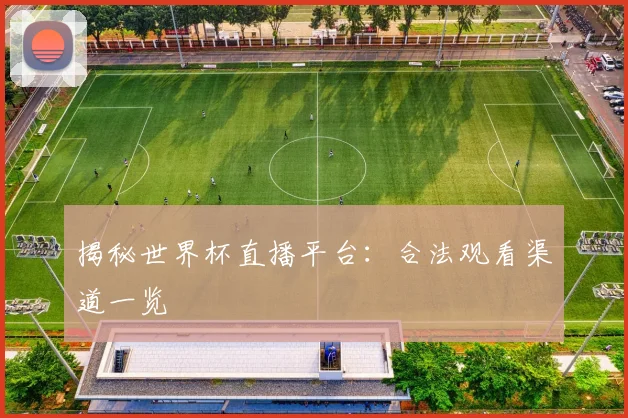 揭秘世界杯直播平台:合法观看渠道一览