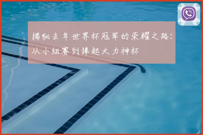 揭秘去年世界杯冠军的荣耀之路：从小组赛到捧起大力神杯