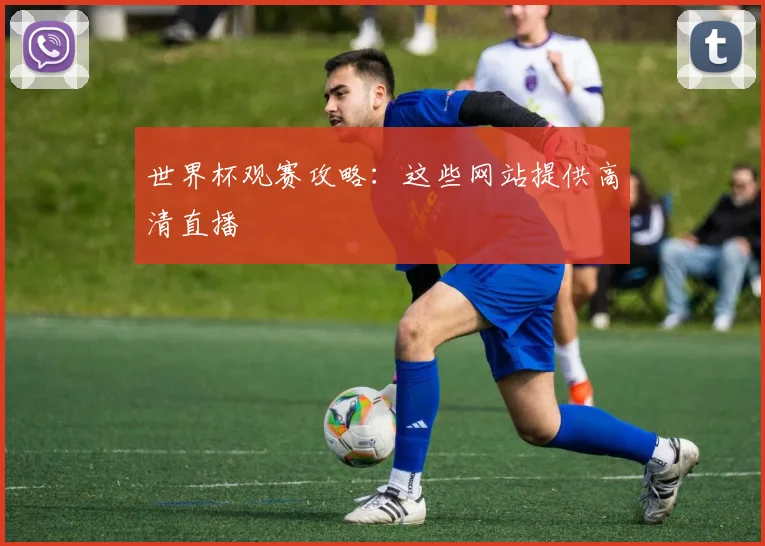 世界杯观赛攻略：这些网站提供高清直播